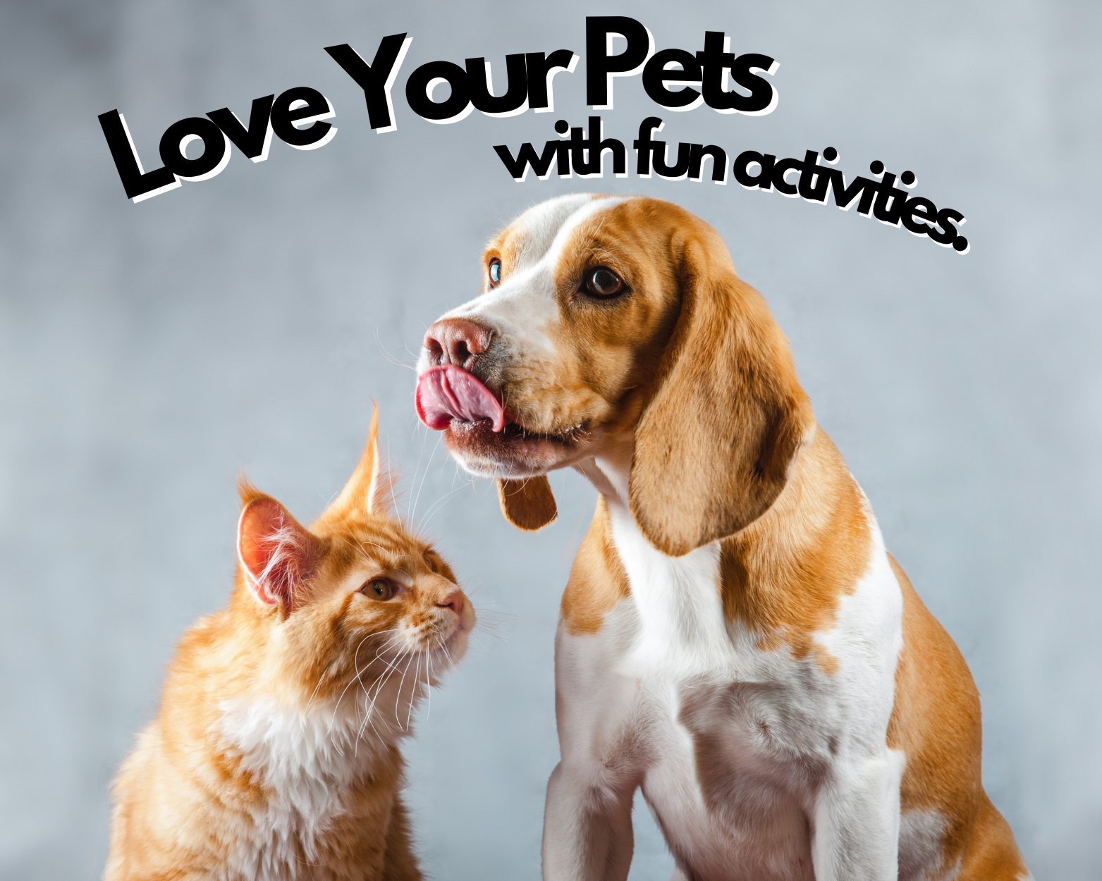 How to Train Pets for Enjoyable Activities