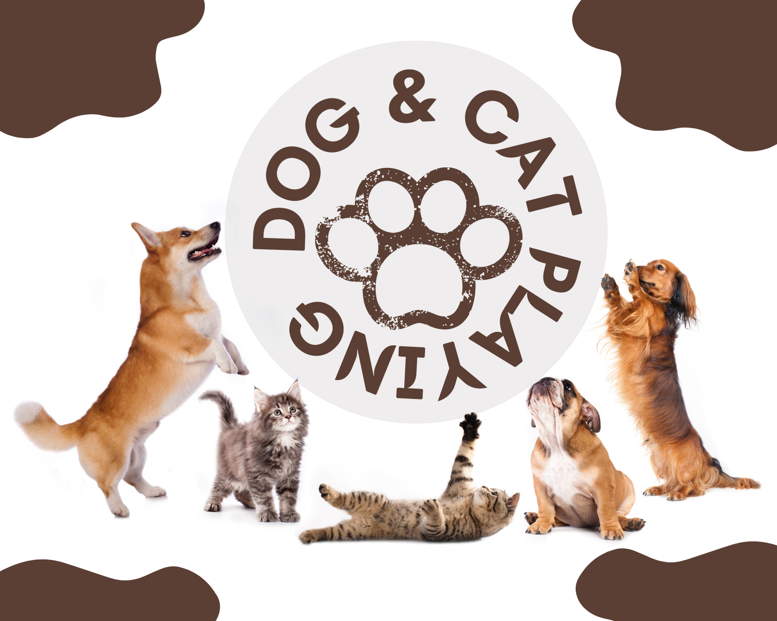Best Toys to Keep Pets Engaged for Dogs and Cats