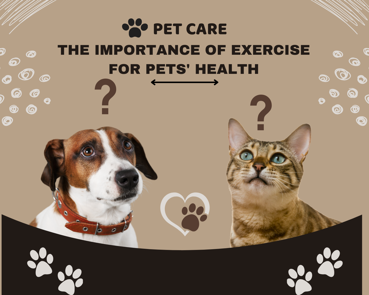 The Importance of Exercise for Pets’ Health for Dogs and Cats