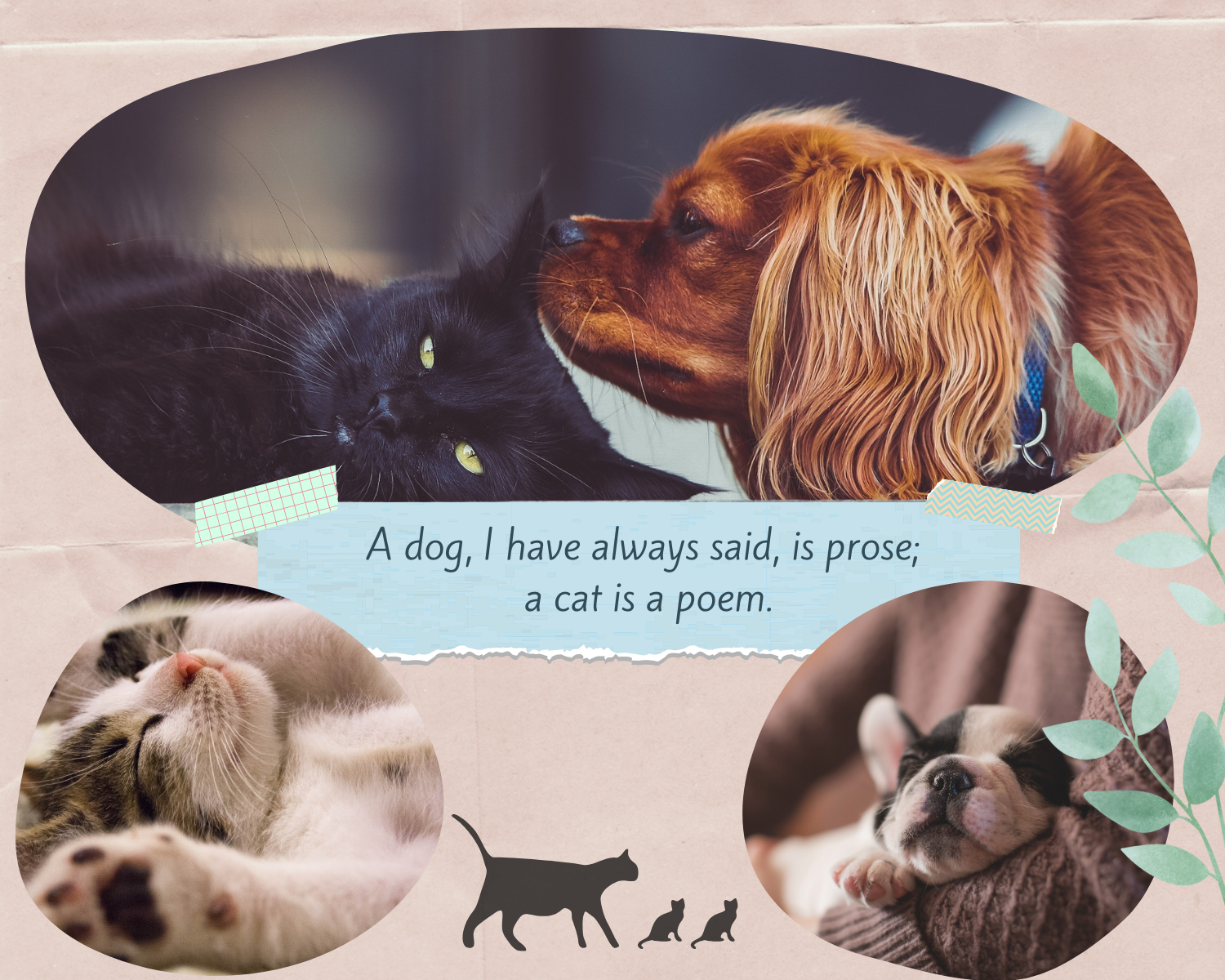 Inspiring Pet Stories: Heartwarming Tales of Dogs and Cats