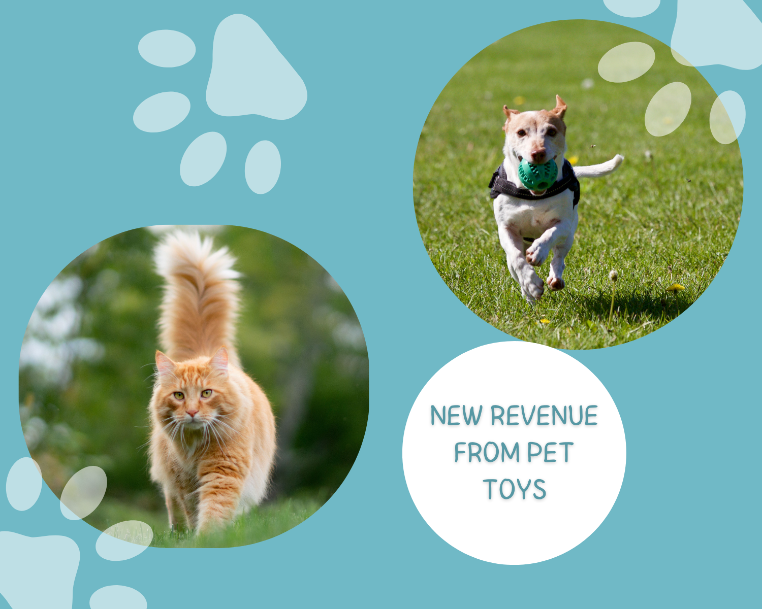 Training Dogs and Cats for Specific Tasks: A Comprehensive Guide