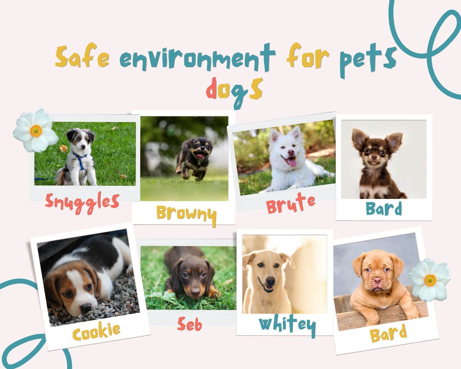 Tips for Creating a Safe Environment for Dogs